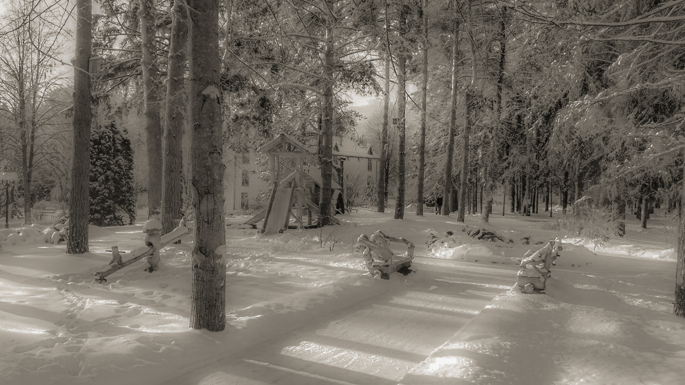 Тропаревский парк зимой
