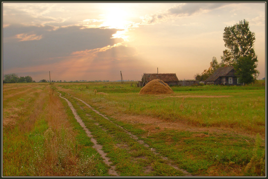 Родные поля. Родимая земля. Поле на краю деревни. Родимая деревня.