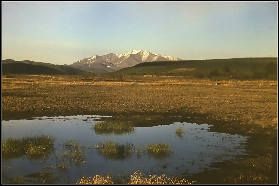 Морджот сусуман фото