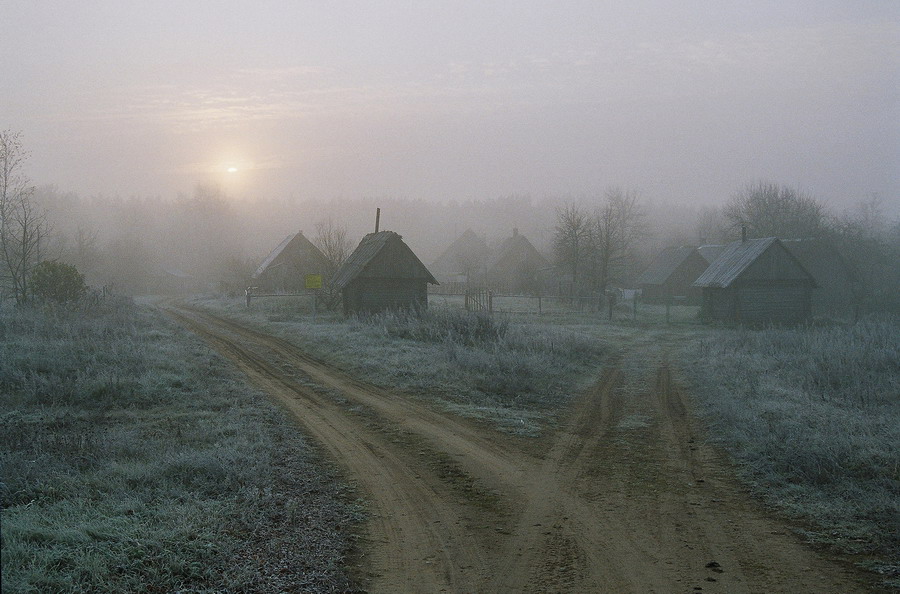 Утро в деревне фото красивые