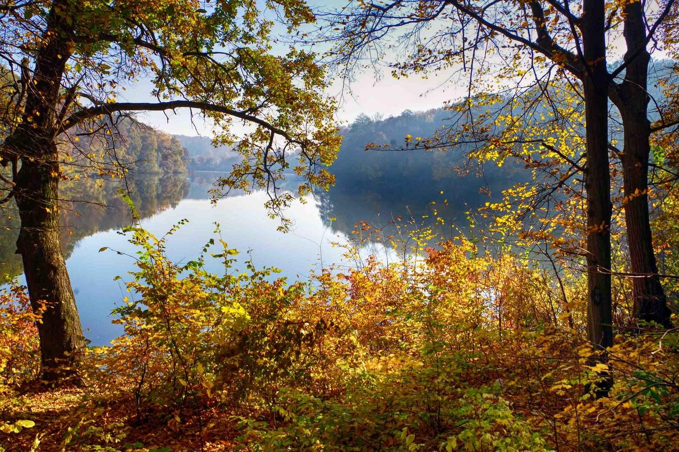 Осенний пейзаж в Молдове