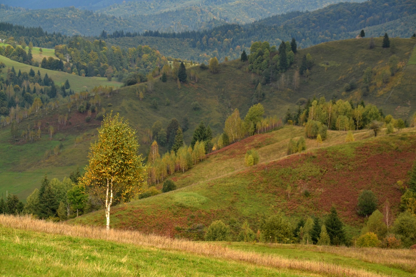 Пейзажи закарпатья фото