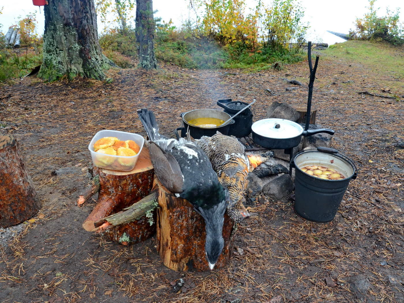 Полевая кухня в лесу
