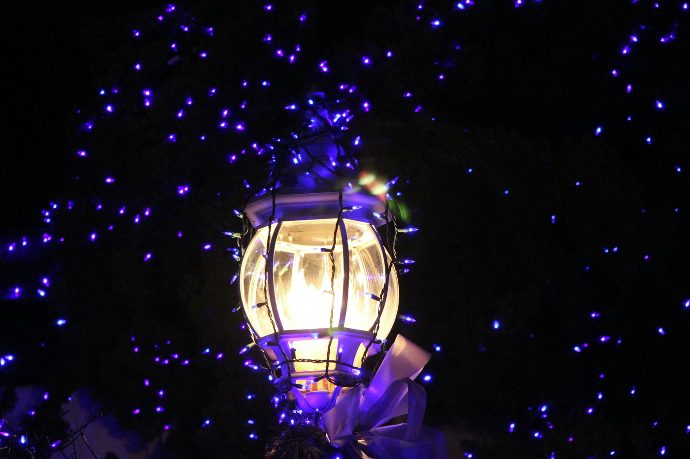 лизи мартин картины. предчувствие рождества.