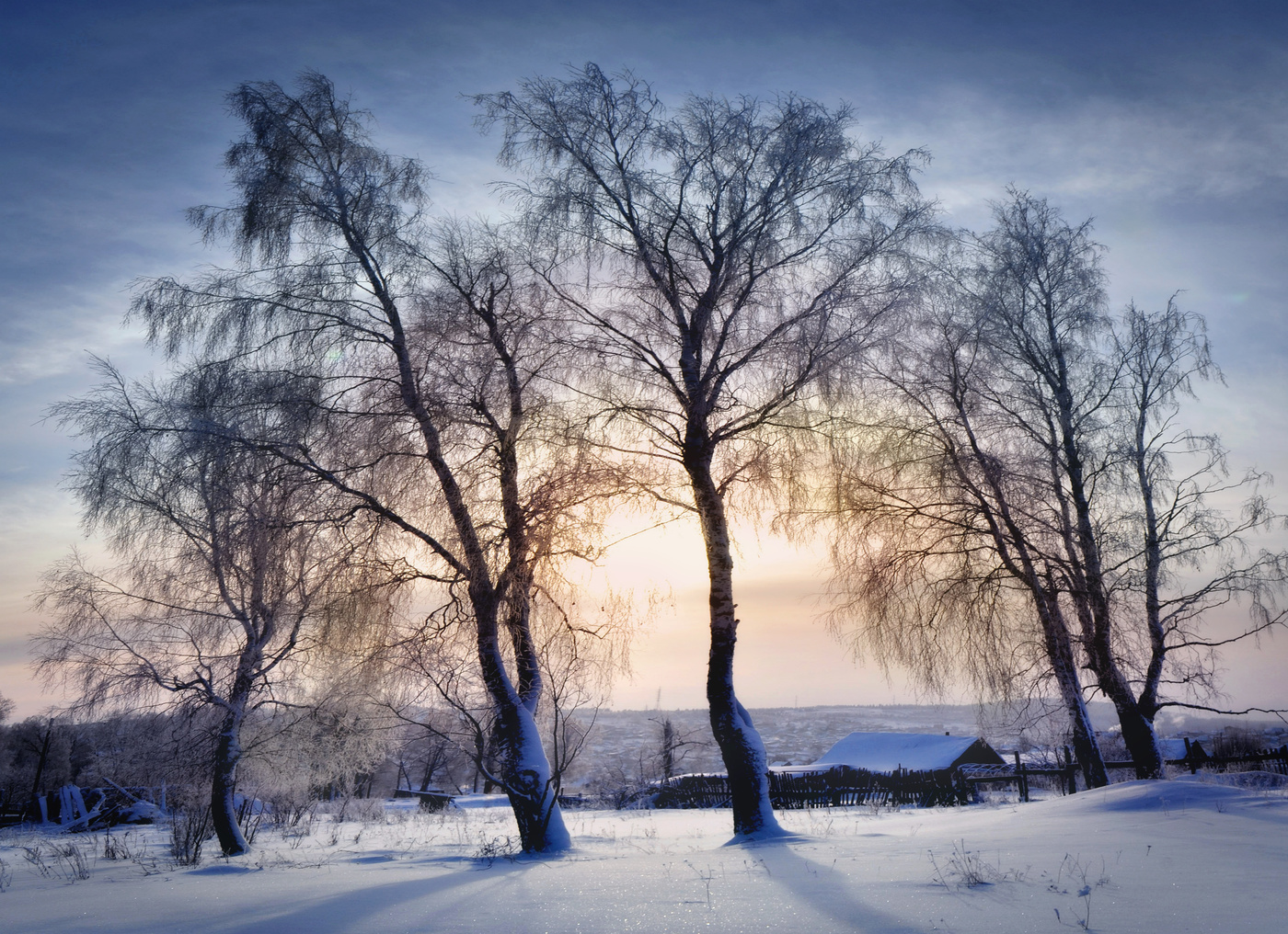 Южный декабрь. Декабрь Южный. Winter ассоциации. Winter Associations.