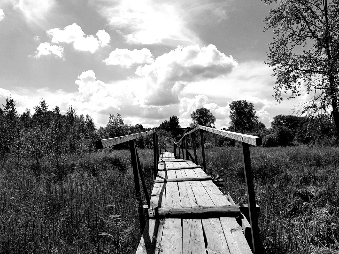 слушать песню мостики. мост в штате луизиана. китайские арочные мостики монрепо. слушать песню мостики. гитара и море.