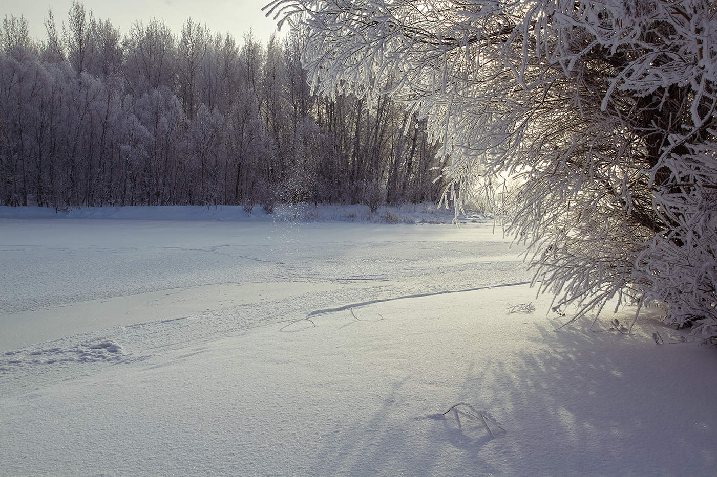 Зимний Николаев фото