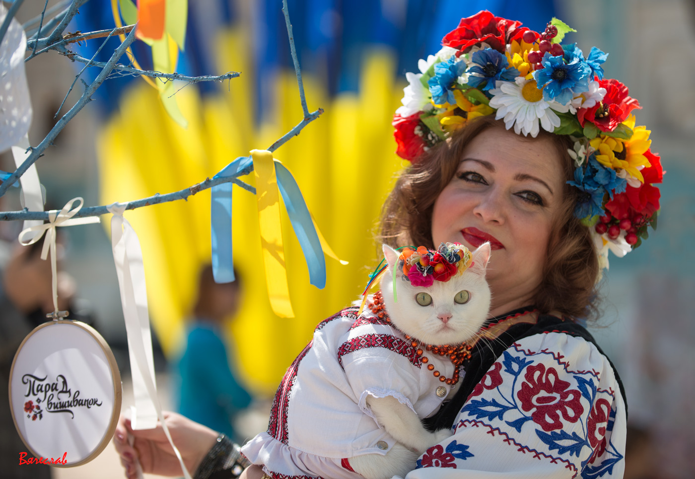Кот украинец. День вышиванки. С днем вышиванки на украинском. Праздник вышиванки. Украинские женщины.