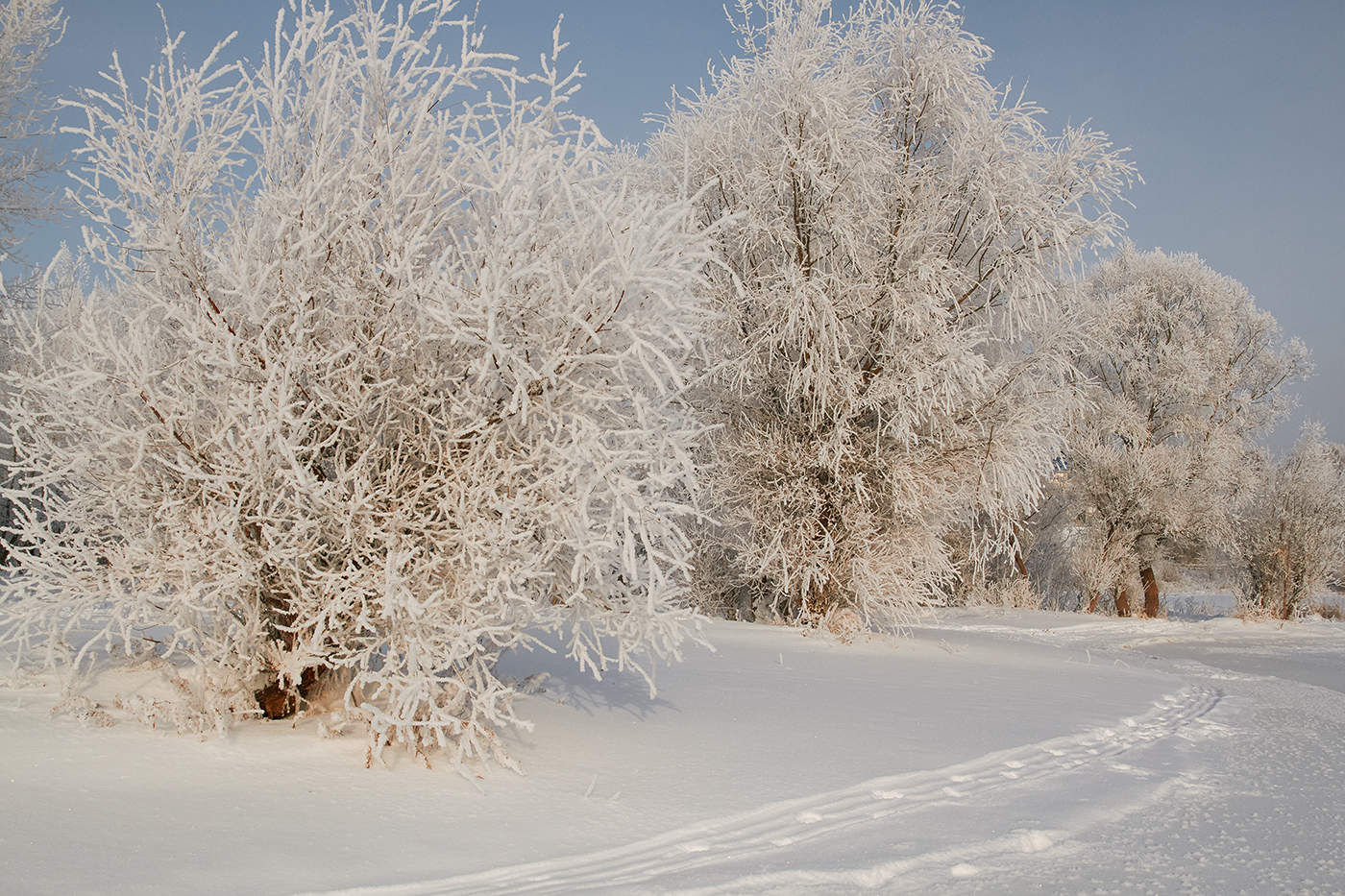 Зима в Николаеве