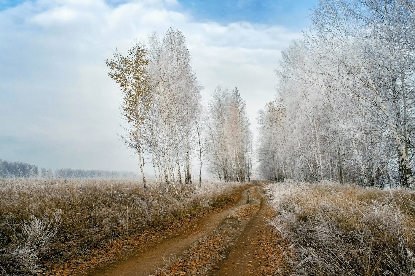 Дорога осень зима