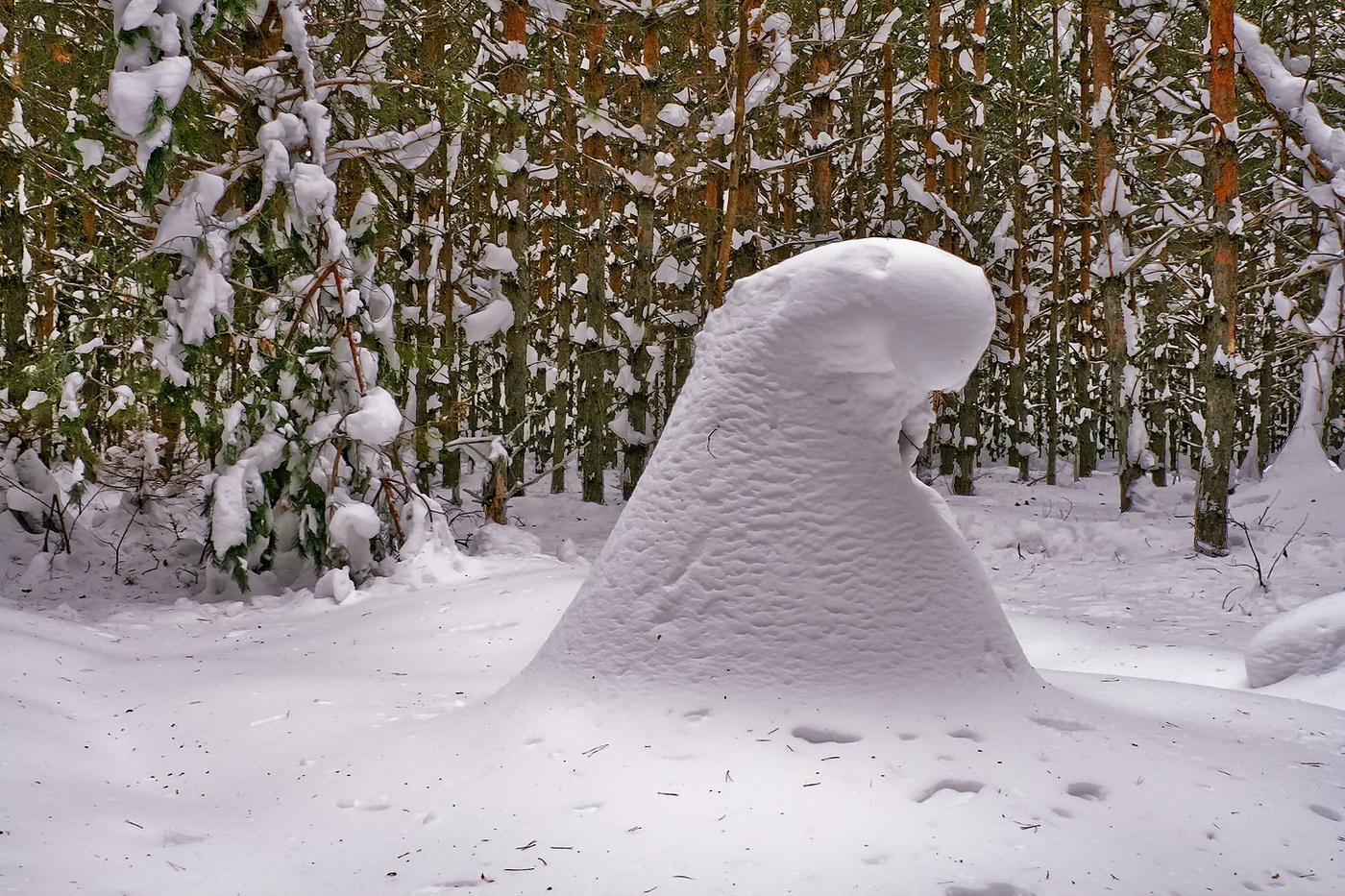 Сугроб с глазами. Снежные фигуры. Снежные сугробы. Зимние причуды природы. Причудливые фигуры из снега.