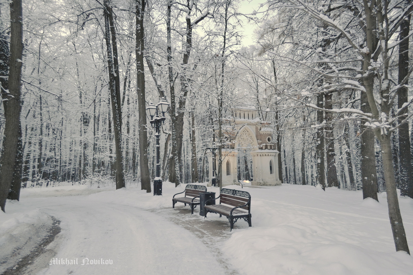 Сосенки парк Царицыно зимой