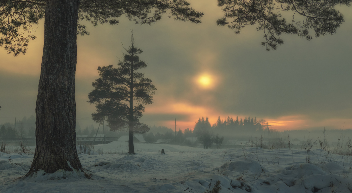 взгляд северный