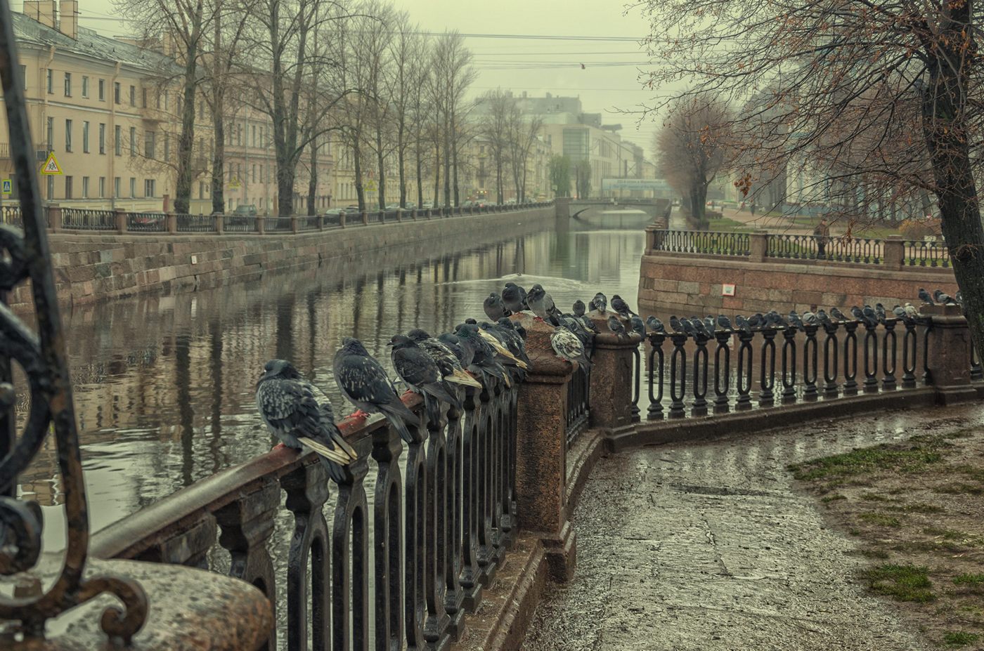 Красногвардейский мост в Санкт-Петербурге осень