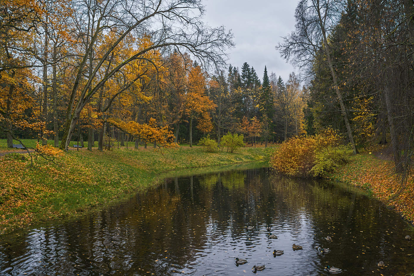 Павловск осенью фото Тихий денек. / Павловск Осень