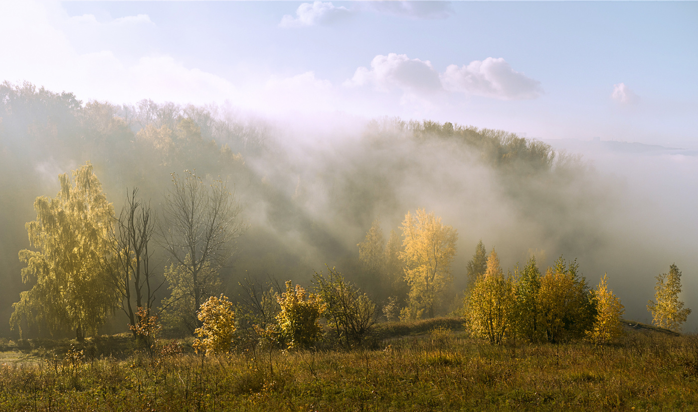 Утренний туман фото