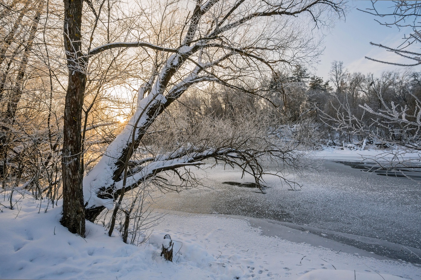 Природа Татарстана зимой
