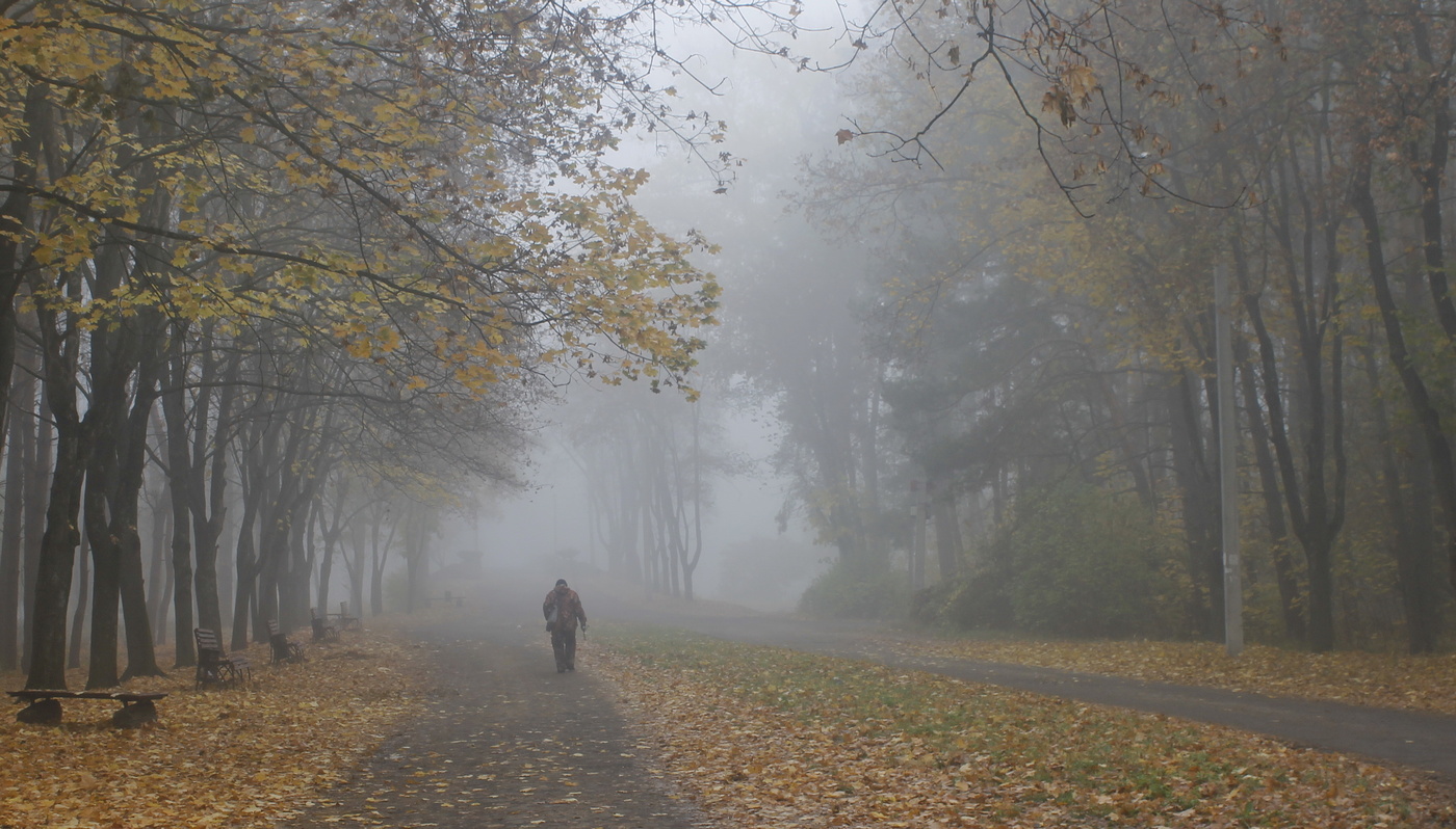 парк в тумане