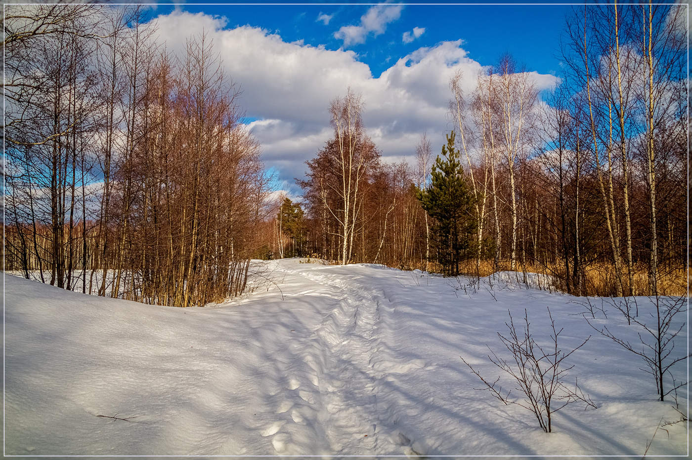 Февраль июль. Февраль Подмосковье. Февральское Подмосковье. Природа февраля в Подмосковье. Февраль Подмосковье пейзаж.