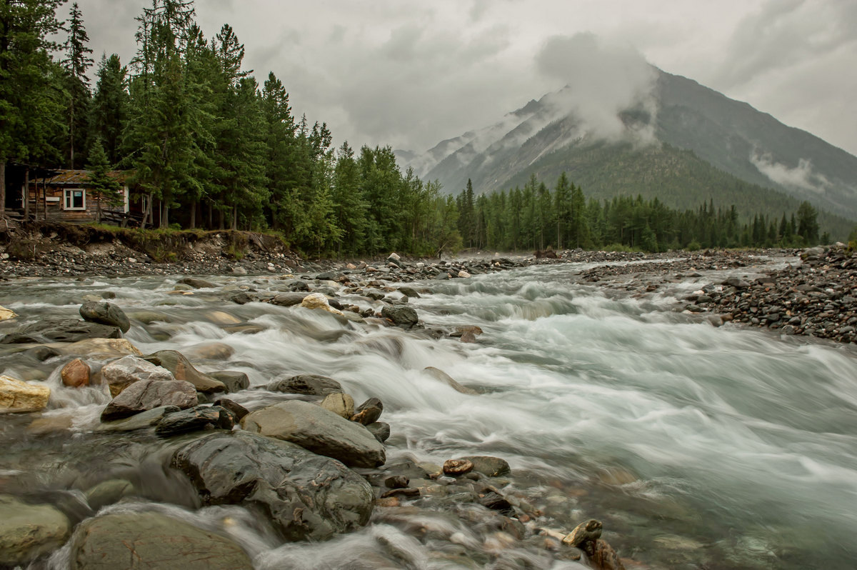 Шумак фото в хорошем качестве