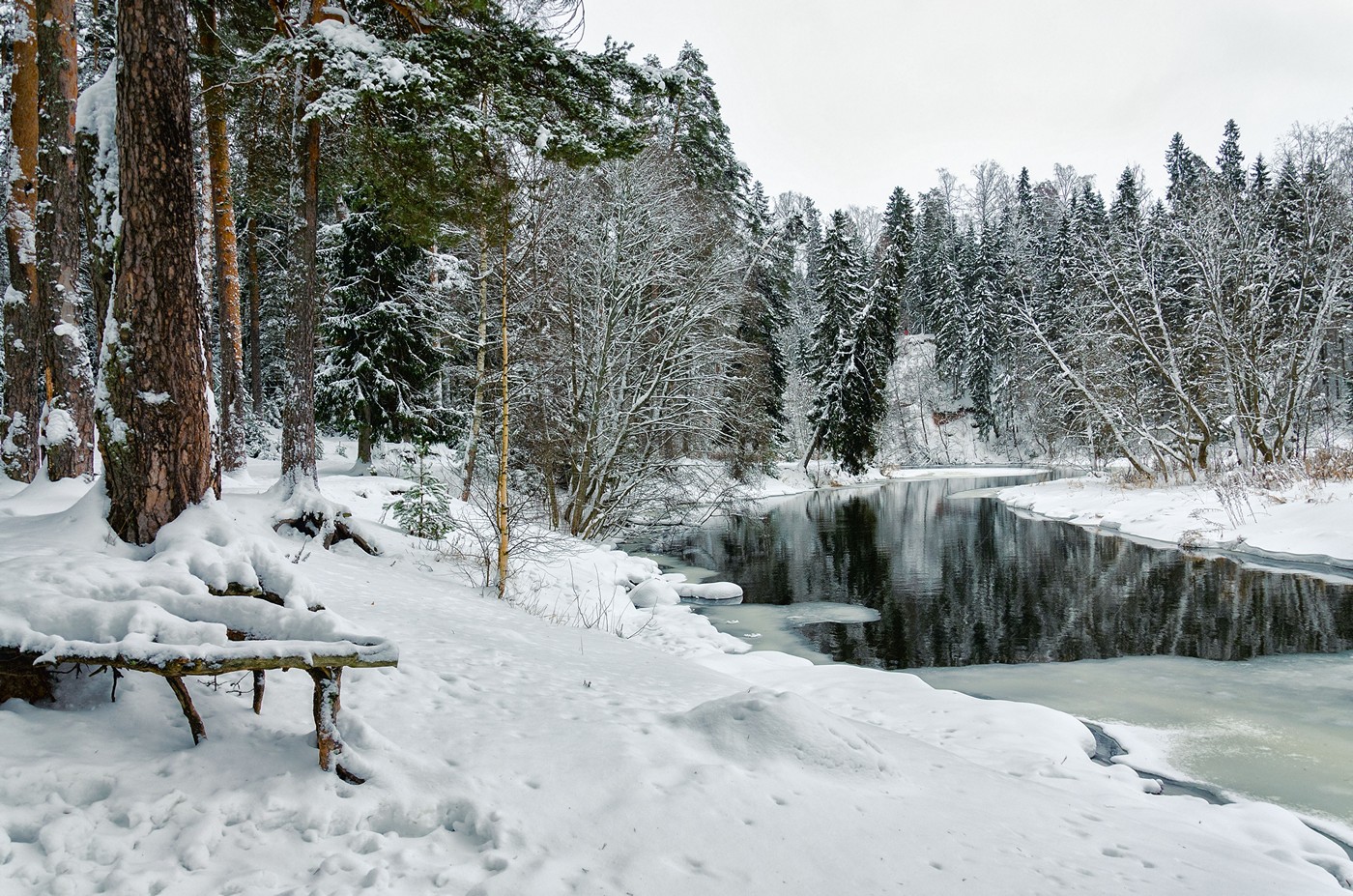 Луг фото для детей