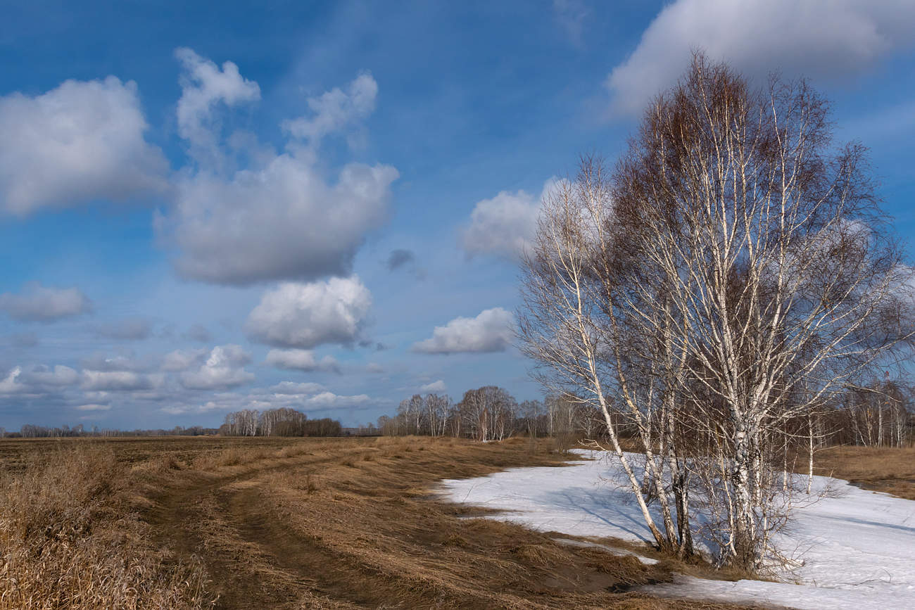 Мероприятия в апреле в библиотеке. Апрель 87. Апрель 87. Апрель 87. Картинки живой воздух весны.
