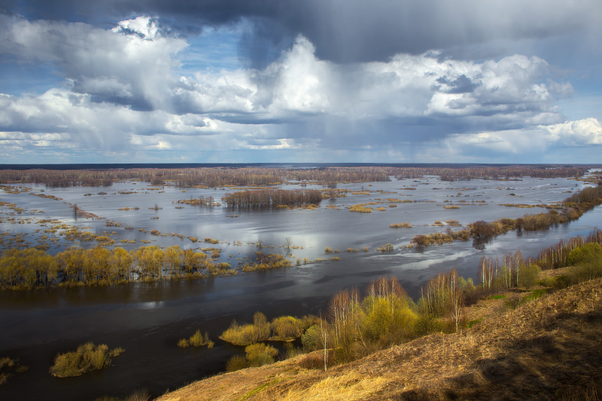 Венец вязники фото