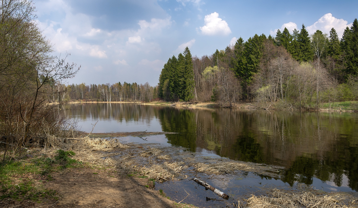 река черная ленинградская область