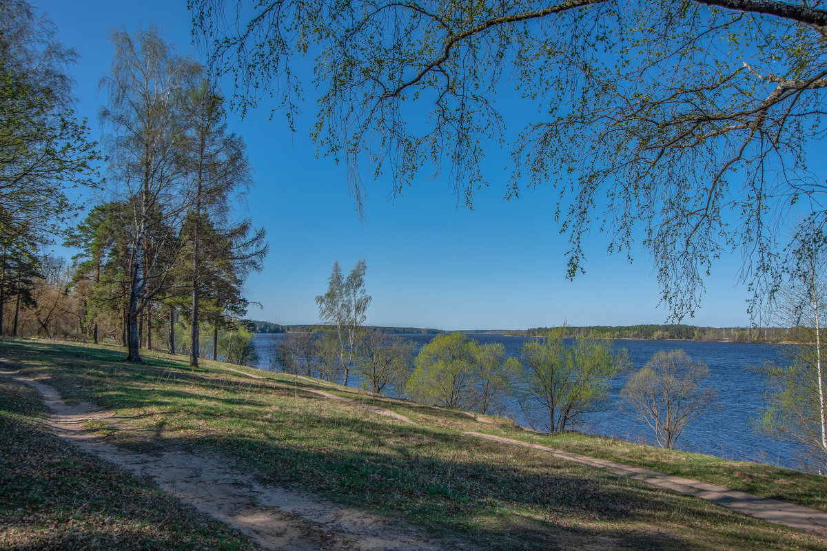 Весна на волге фото