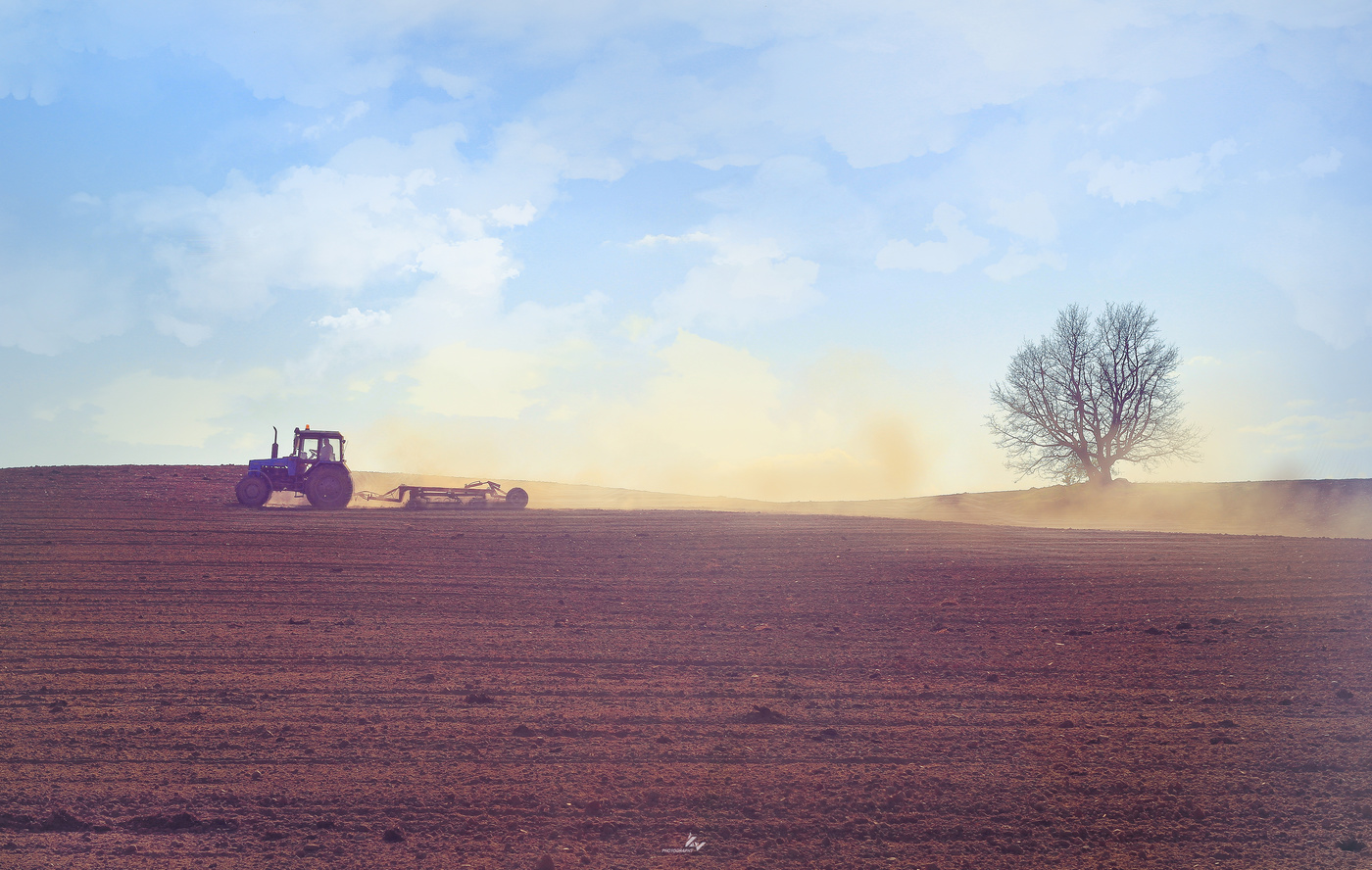Трактор на поле пашне
