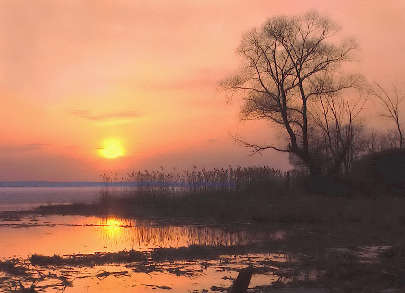 Первый вечер апреля. Закат на Учинском водохранилище. Весенний закат. Вечерний пейзаж.