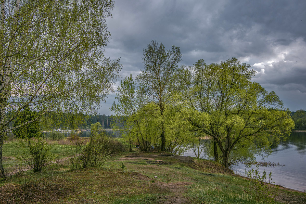 Весна на волге фото