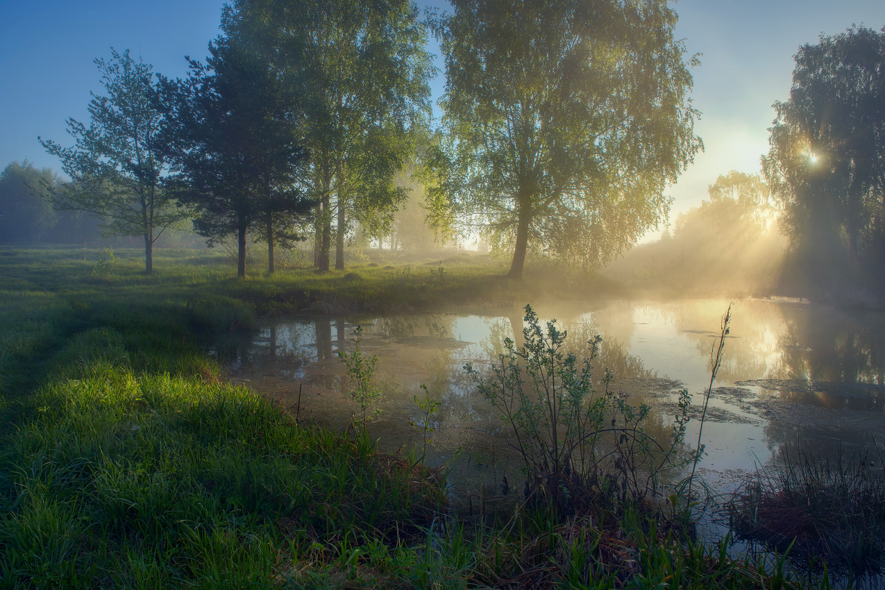 Утро май фото