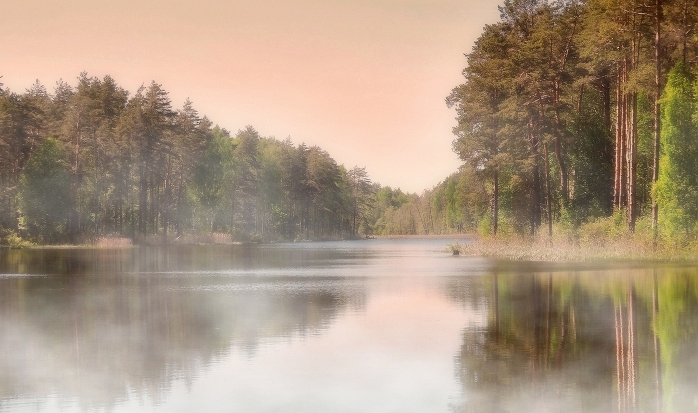 туманный берег озера. озеро туманное хакасия. туманный хакасия отзывы. красивые пейзажи с туманом. оз среднесатыгинский туман.