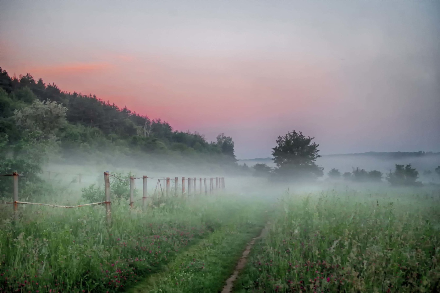 Раннее туманное утро России