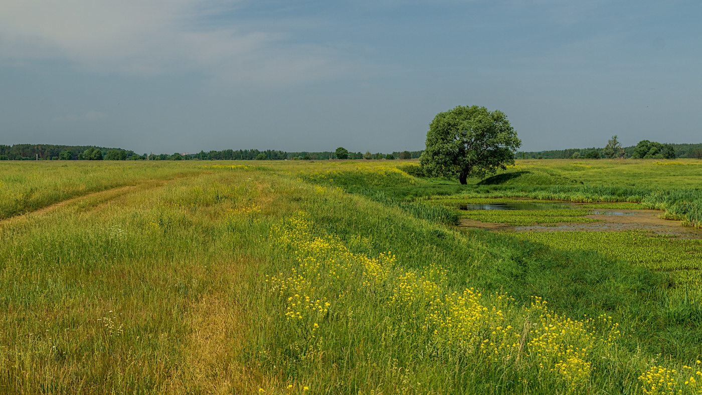 Картинки июнь жара