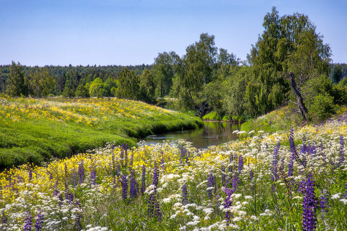 Красоты подмосковья фото