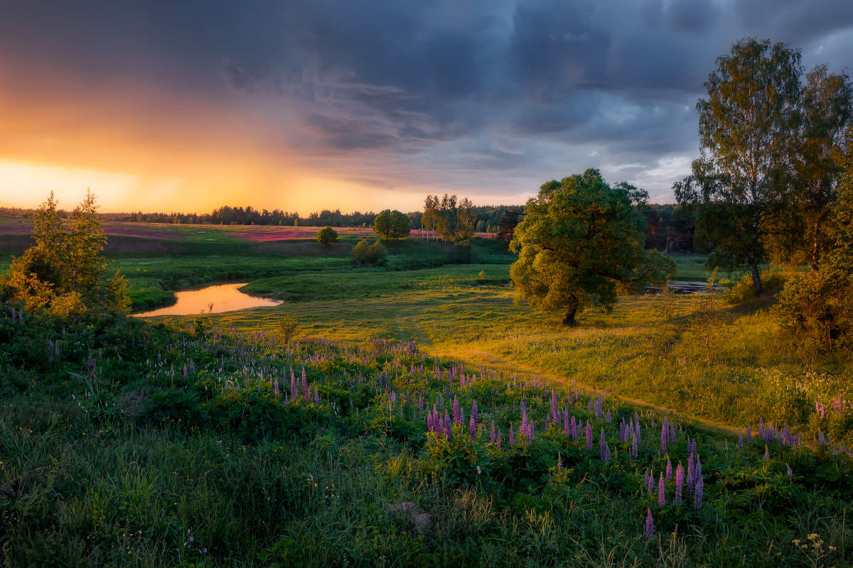 Красота русской природы фото