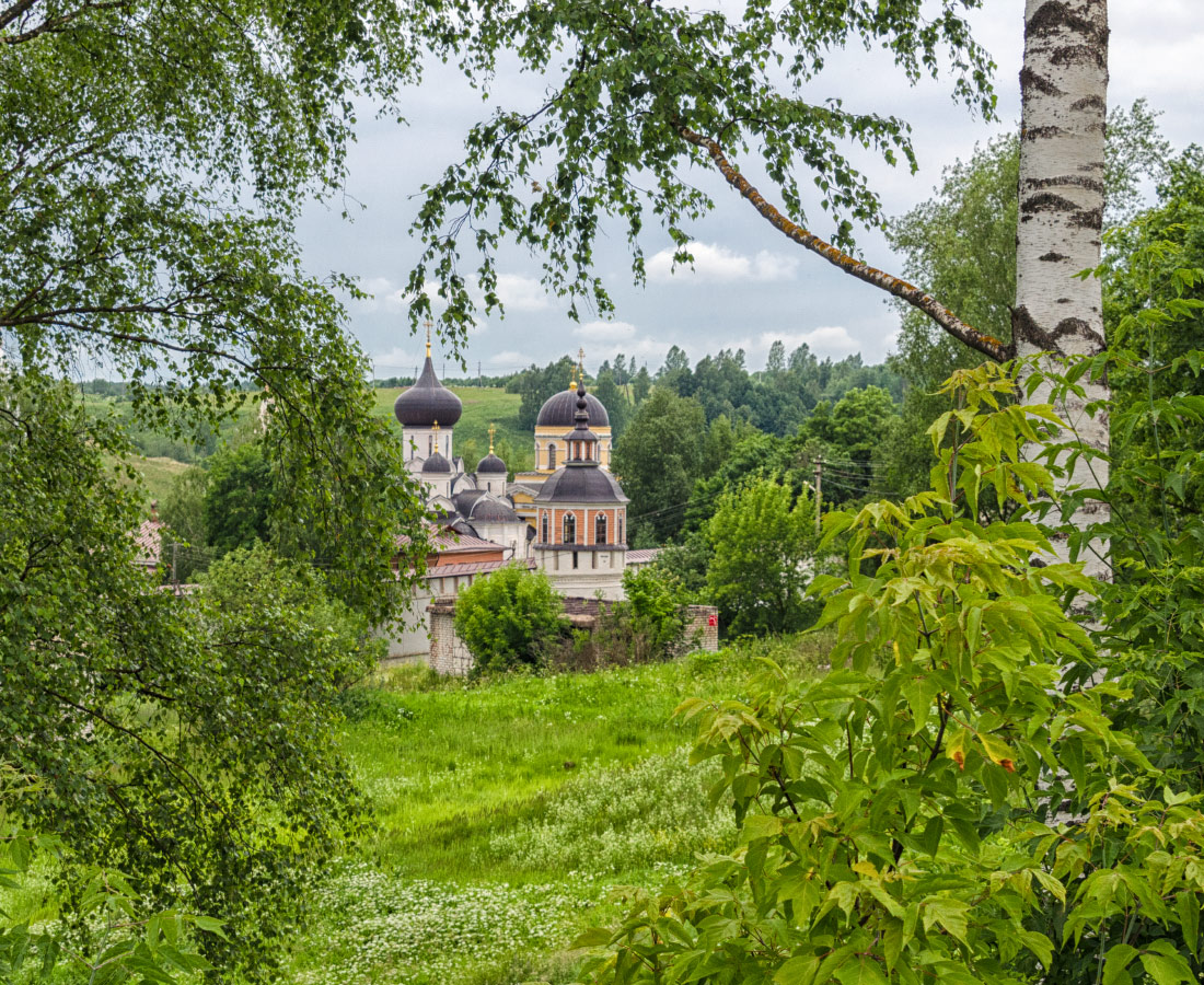 Старица монастырь свято успенский фото