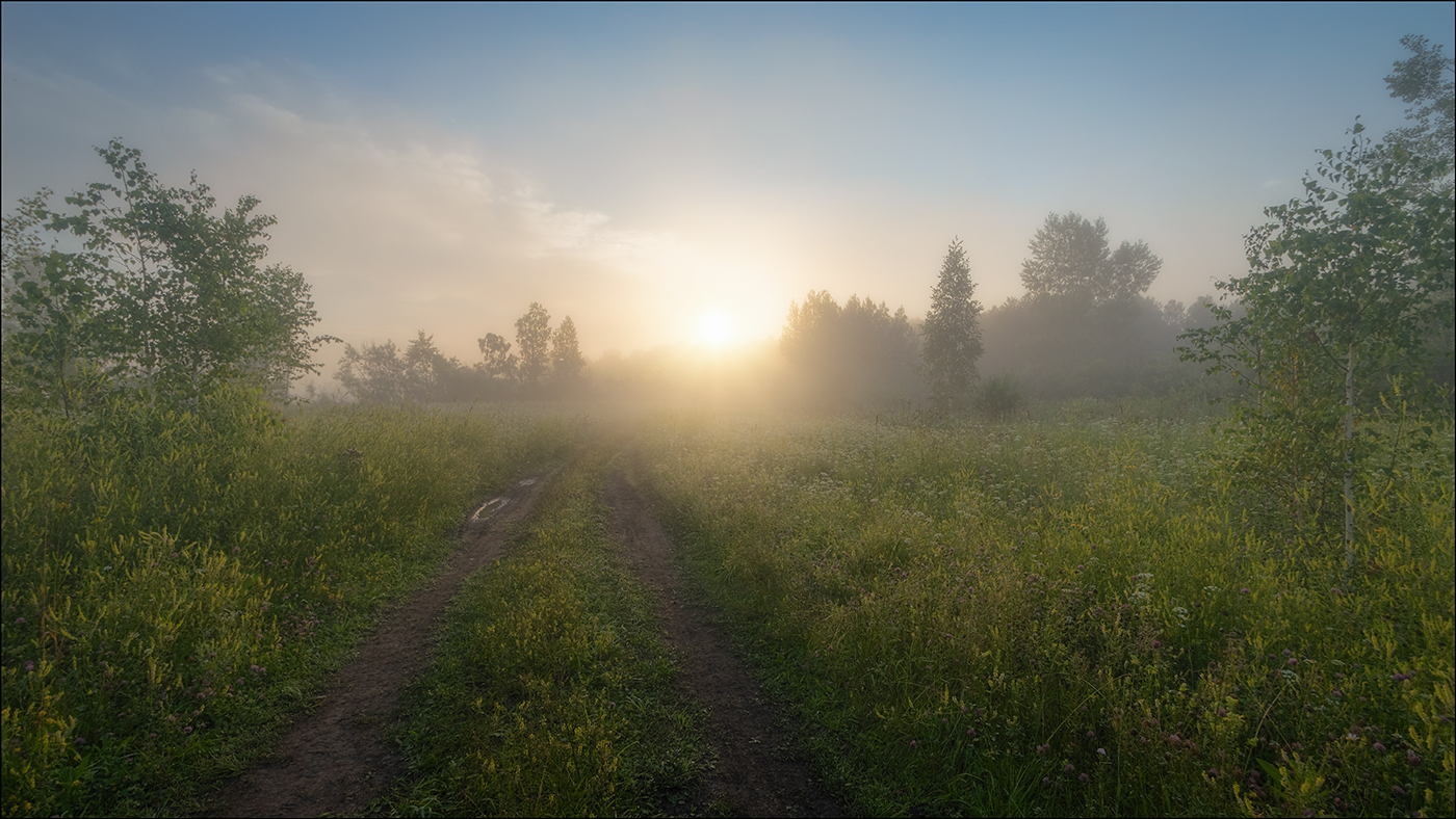 зыкина утро туманное