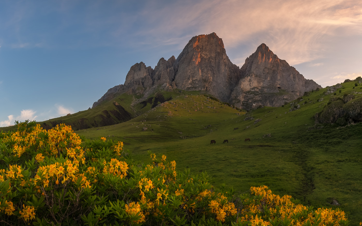 Цей Лоам осень