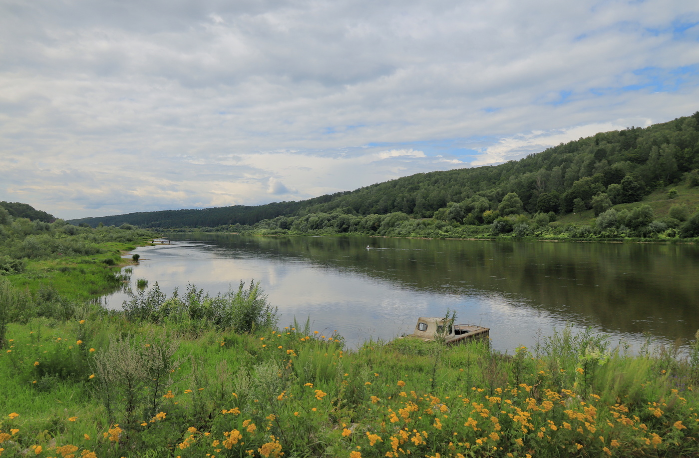 Река Ока летом