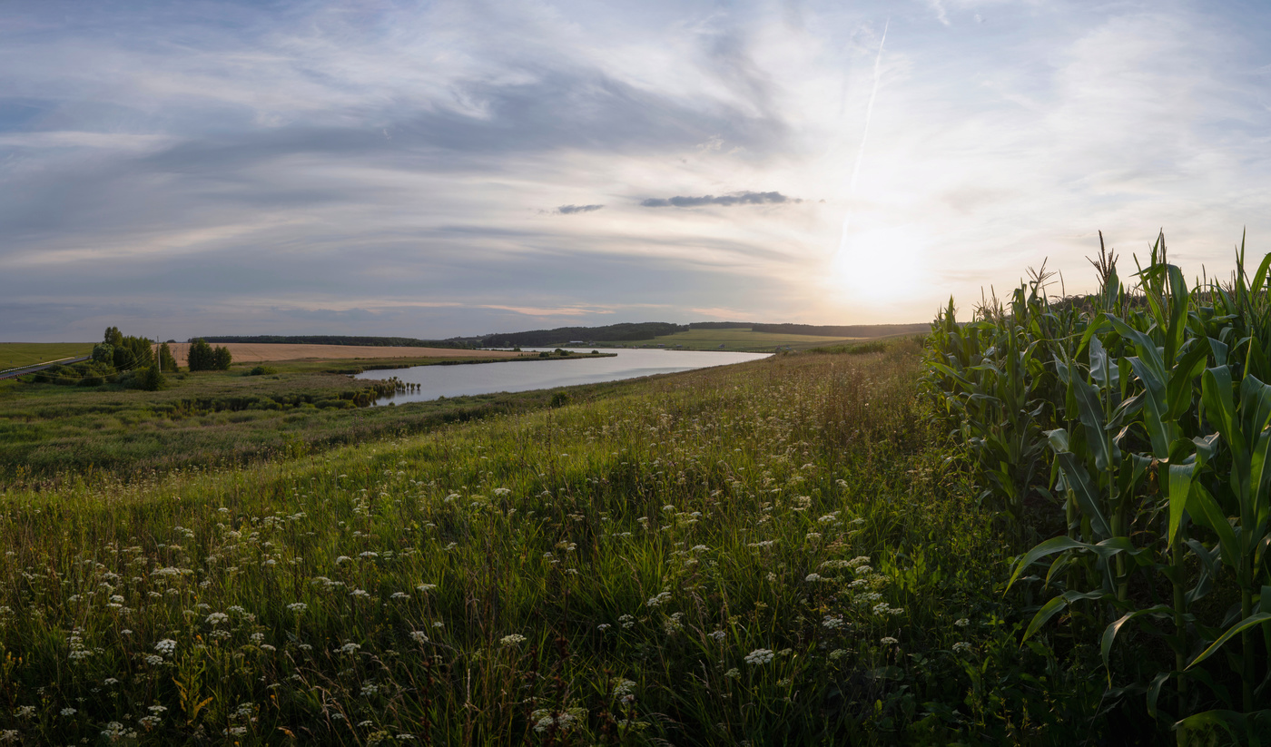 Дальний нижегородская область. Дальнеконстантиновский район Нижегородская область. Дальнеконстантиновский район поля.