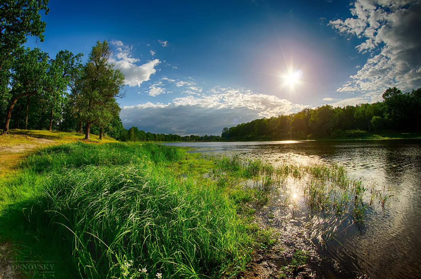 Фото лето река солнце