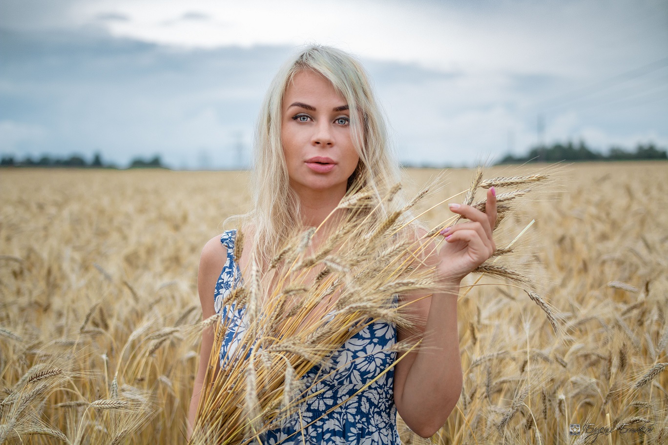 Фотосессия в пшеничном поле девушка