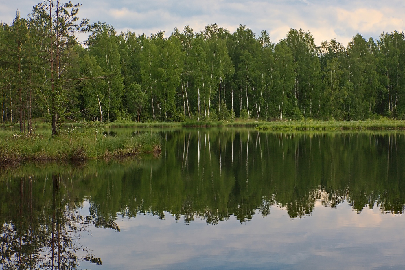 Озеро в Лесном Пушкинский район