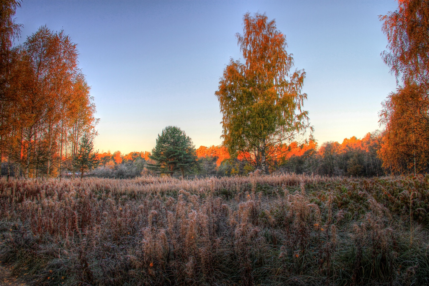 Осеннее утро в Беларуси
