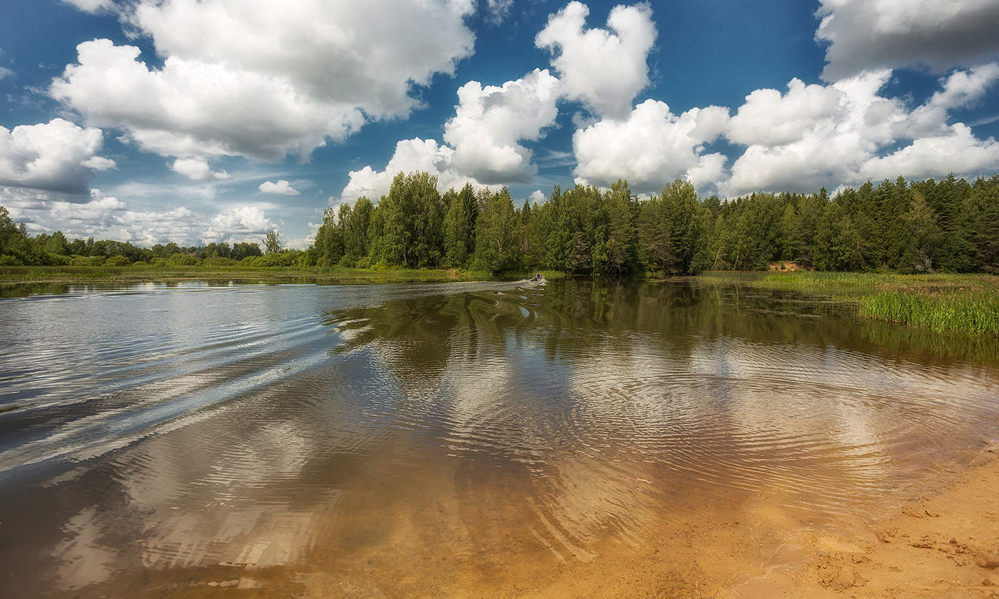Река Покша Костромская область