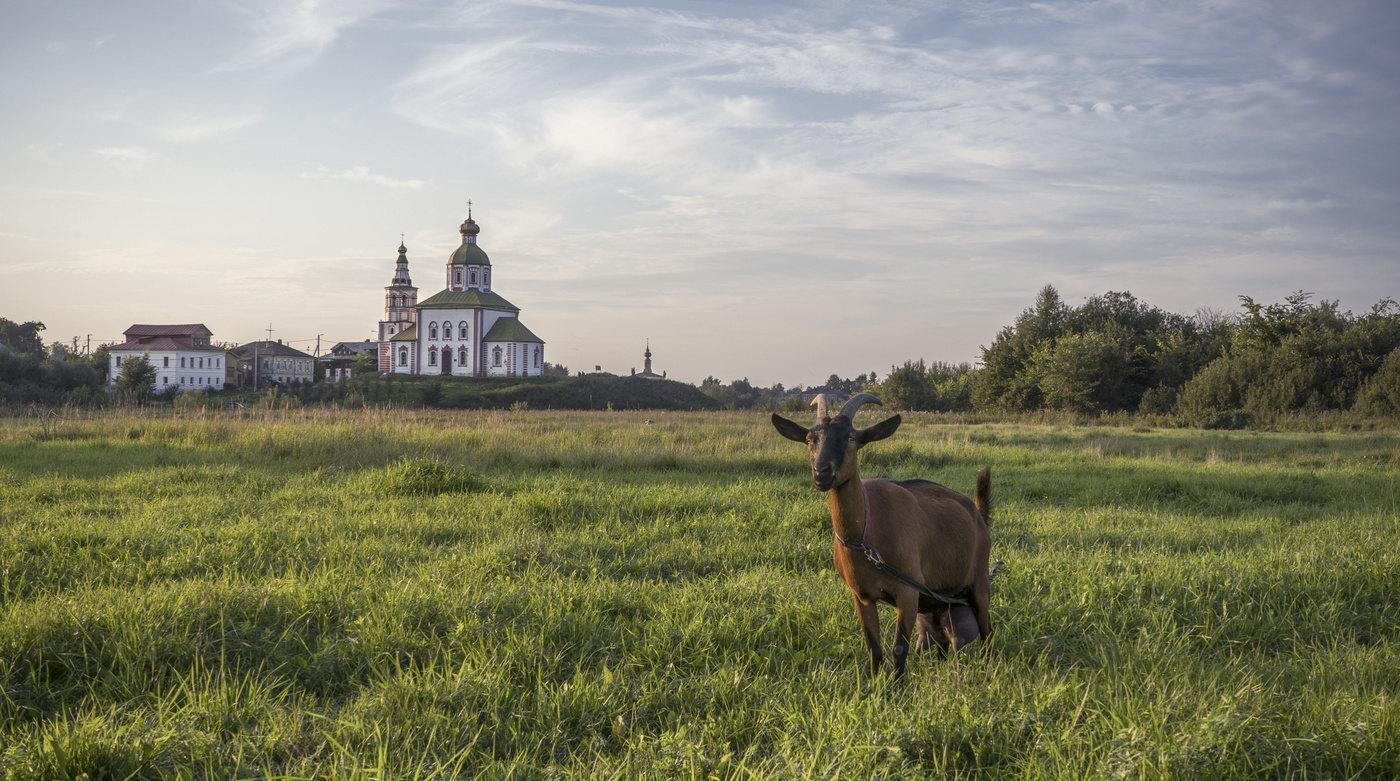 Суздаль Эстетика