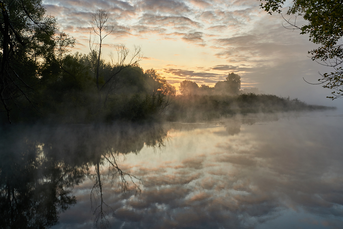 Tuman. Река Тюмень туман. Коломна Москва река туман. Туман на реке. Туманная река.
